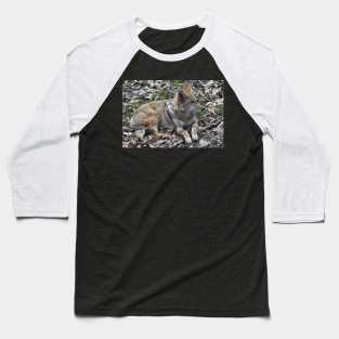 Coyote Baseball T-Shirt